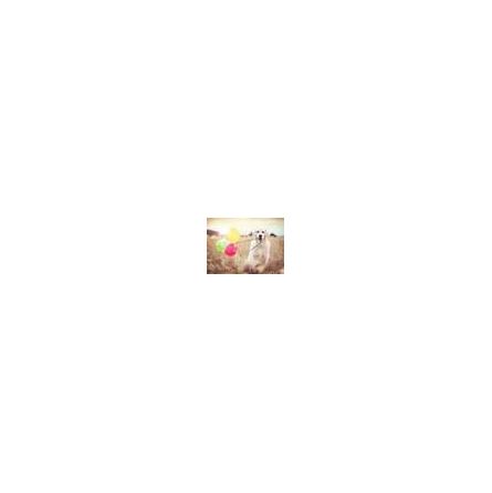Puzzle 500 p - Jour de fête Ravensburger Ikaipaka jeux & jouets