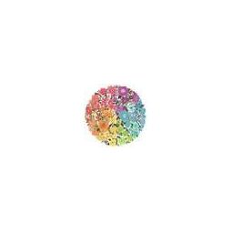 Puzzle rond 500 p - Fleurs Ravensburger Ikaipaka jeux & jouets