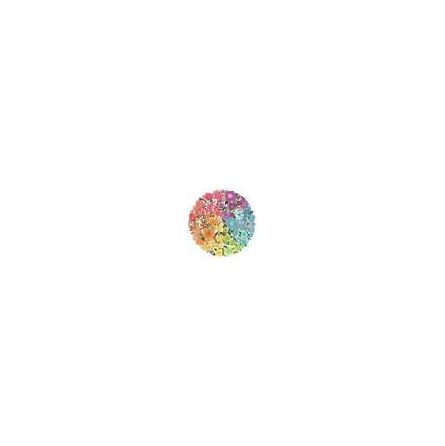 Puzzle rond 500 p - Fleurs Ravensburger Ikaipaka jeux & jouets