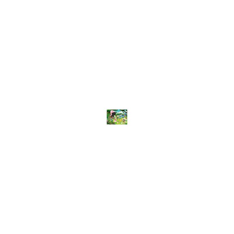 Puzzle 300 p XXL - Pokémon sauvages POKEMON Ikaipaka jeux &