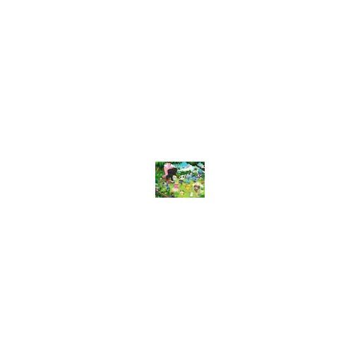 Puzzle 300 p XXL - Pokémon sauvages POKEMON Ikaipaka jeux &