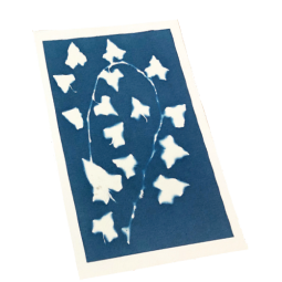 Cyanotype Oz Ikaipaka jeux & jouets Royan