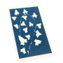 Cyanotype Oz Ikaipaka jeux & jouets Royan