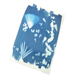 Cyanotype Oz Ikaipaka jeux & jouets Royan