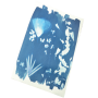 Cyanotype Oz Ikaipaka jeux & jouets Royan