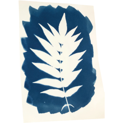 Cyanotype Oz Ikaipaka jeux & jouets Royan