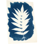 Cyanotype Oz Ikaipaka jeux & jouets Royan