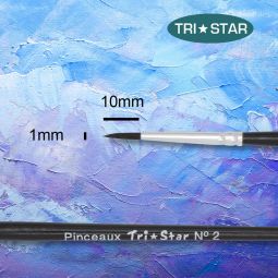 Pinceau extra fin n°2 Tristar Oz Ikaipaka jeux & jouets Royan