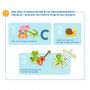Mon grand coffret des lettres Djeco Ikaipaka jeux & jouets Royan