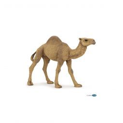 Dromadaire Papo Papo Ikaipaka jeux & jouets Royan