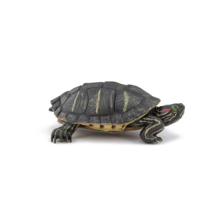 Tortue de Floride Papo Papo Ikaipaka jeux & jouets Royan