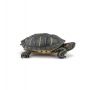 Tortue de Floride Papo Papo Ikaipaka jeux & jouets Royan