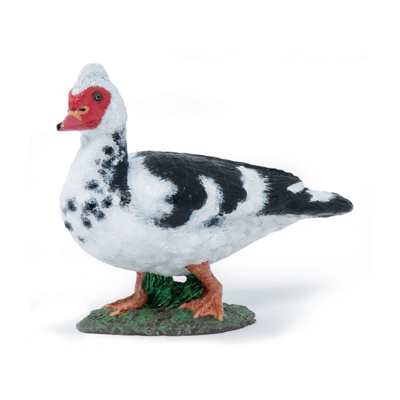 Canard de Barbarie Papo Papo Ikaipaka jeux & jouets Royan
