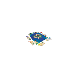 Survive The Island  Ikaipaka jeux & jouets Royan