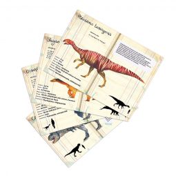Puzzle 500p Dinosaures Muséum national d'Histoire naturelle