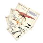 Puzzle 500p Dinosaures Muséum national d'Histoire naturelle