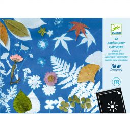 Cyanotypes Papiers Djeco Ikaipaka jeux & jouets Royan