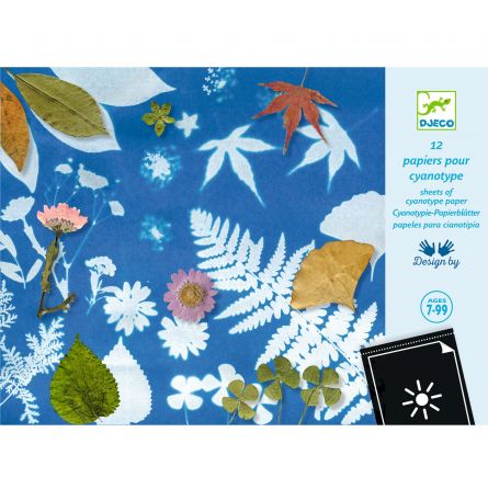 Cyanotypes Papiers Djeco Ikaipaka jeux & jouets Royan