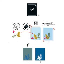Cyanotypes Papiers Djeco Ikaipaka jeux & jouets Royan