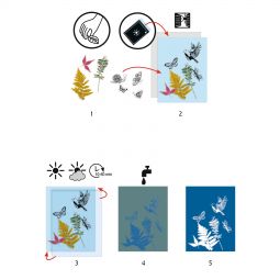 Cyanotypes Kit de démarrage Djeco Ikaipaka jeux & jouets Royan