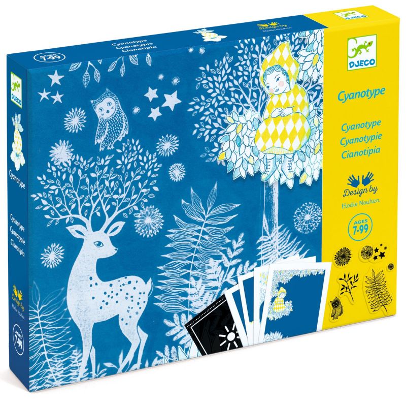 Cyanotypes Au clair de Lune Djeco Ikaipaka jeux & jouets Royan