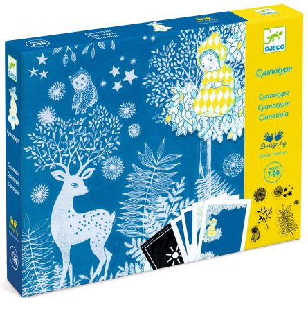Cyanotypes Au clair de Lune Djeco Ikaipaka jeux & jouets Royan
