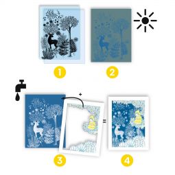 Cyanotypes Au clair de Lune Djeco Ikaipaka jeux & jouets Royan