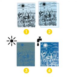 Cyanotypes Savane Nocturne Djeco Ikaipaka jeux & jouets Royan