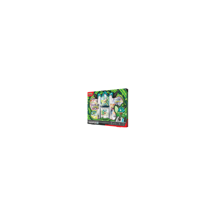 Pokémon: Coffret Premium Orgerpon Ex POKEMON Ikaipaka jeux &