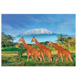 Puzzle 500p XL Girafes Sentosphere Ikaipaka jeux & jouets Royan