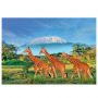 Puzzle 500p XL Girafes Sentosphere Ikaipaka jeux & jouets Royan