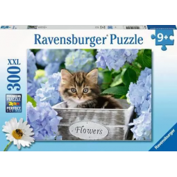 Puzzle 300p XXL Petit Chaton Ravensburger Ikaipaka jeux &
