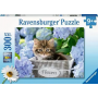 Puzzle 300p XXL Petit Chaton Ravensburger Ikaipaka jeux &