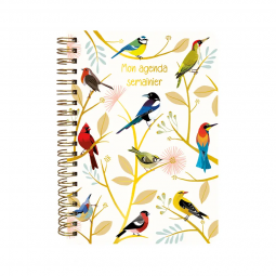 Carnet Thématique Agenda semainier Cartes d'ART Ikaipaka jeux &