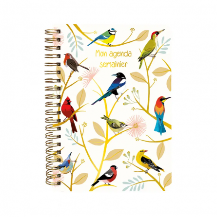 Carnet Thématique Agenda semainier Cartes d'ART Ikaipaka jeux &