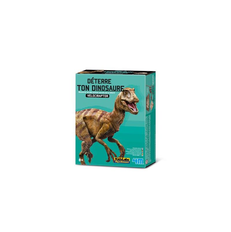 Déterre ton Dino Vélociraptor  Ikaipaka jeux & jouets Royan