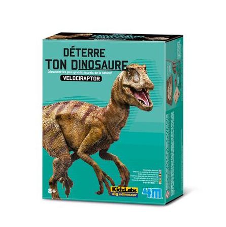 Déterre ton Dino Vélociraptor  Ikaipaka jeux & jouets Royan