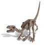 Déterre ton Dino Vélociraptor  Ikaipaka jeux & jouets Royan