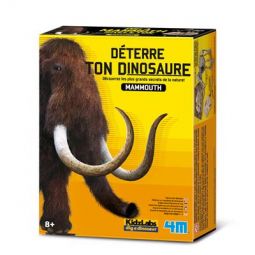 Déterre ton Dino Mamouth  Ikaipaka jeux & jouets Royan