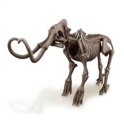 Déterre ton Dino Mamouth  Ikaipaka jeux & jouets Royan