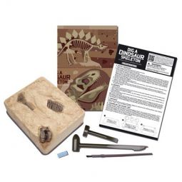 Déterre ton Dino Mamouth  Ikaipaka jeux & jouets Royan