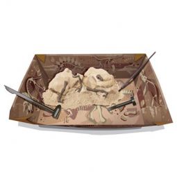 Déterre ton Dino Mamouth  Ikaipaka jeux & jouets Royan