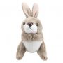 Marionnette à doigt Lapin The Puppet Compagny Ikaipaka jeux &