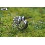 Eugy 3D Triceratops EUGY 3D Ikaipaka jeux & jouets Royan