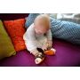 Chaussons Woodours Ebulobo Ebulobo Ikaipaka jeux & jouets Royan