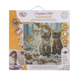 Crystal Art Kit Tableau à Diamanter Chatons en hiver Oz