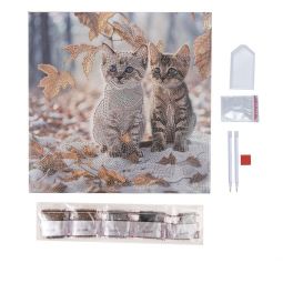 Crystal Art Kit Tableau à Diamanter Chatons en hiver Oz