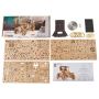 UGEARS Modèle T Retro car UGEARS Ikaipaka jeux & jouets Royan