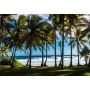 Puzzle 1000p Plage et Palmiers La Réunion France BlueBird