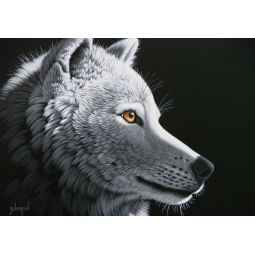 Puzzle 1000p Wolf Light Grafika Ikaipaka jeux & jouets Royan
